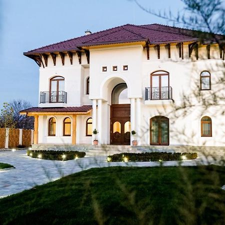 Bed and Breakfast Conacul Olarilor Baia de Fier Exterior foto