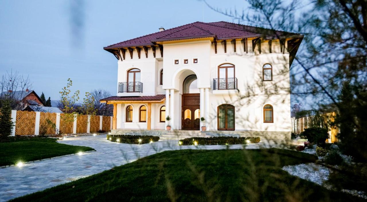 Bed and Breakfast Conacul Olarilor Baia de Fier Exterior foto