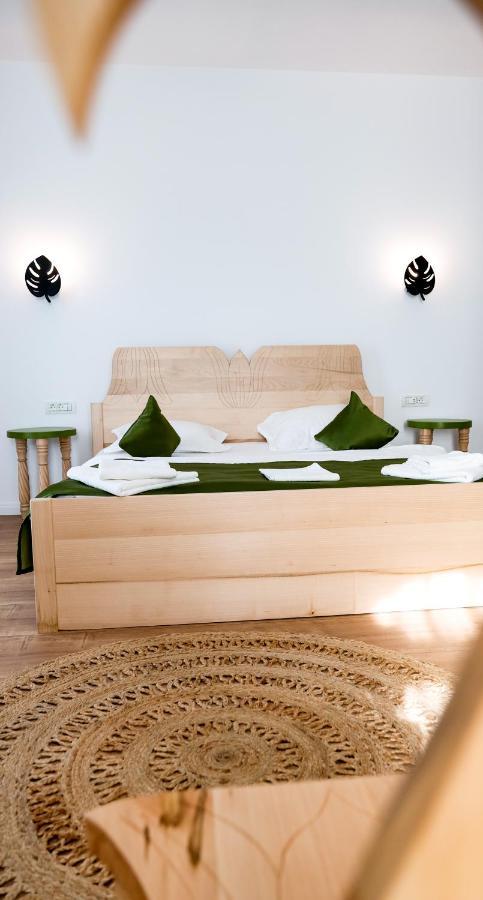 Bed and Breakfast Conacul Olarilor Baia de Fier Exterior foto